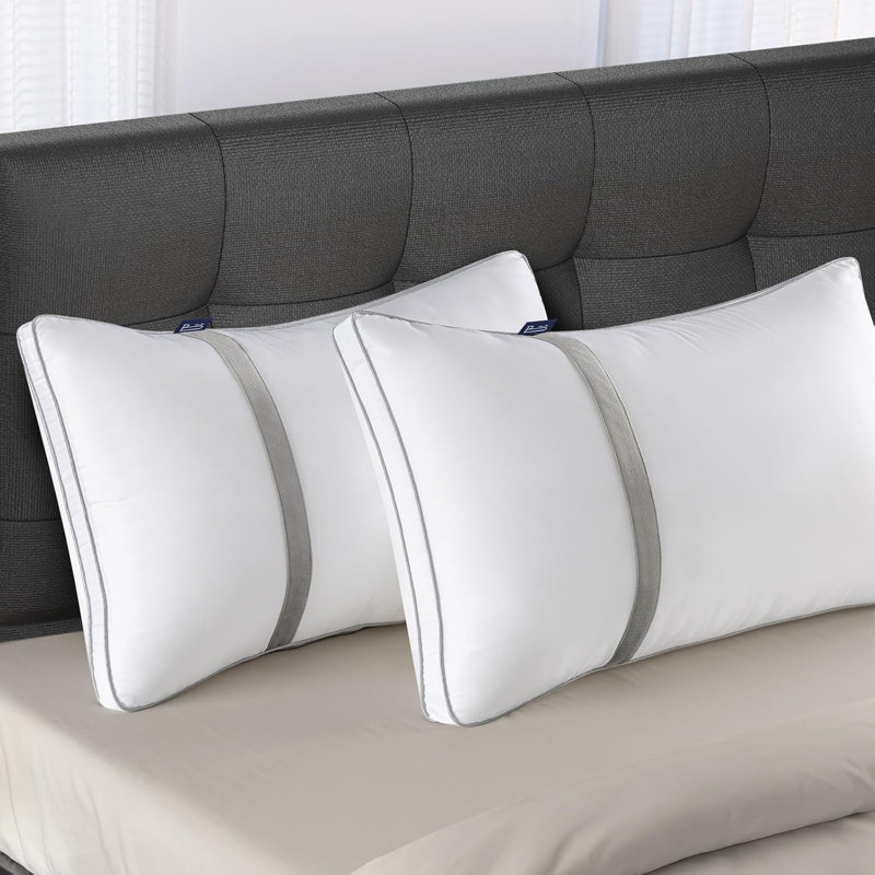 2 pack king size pillows best sale